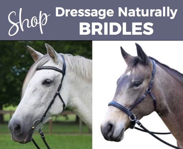 Dressage Naturally Bitless Bridle